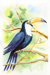 Similar image 21421341