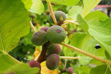 Similar image 21390394