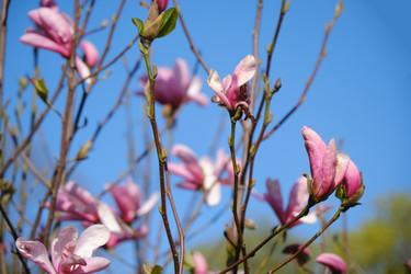 Similar image 21398669