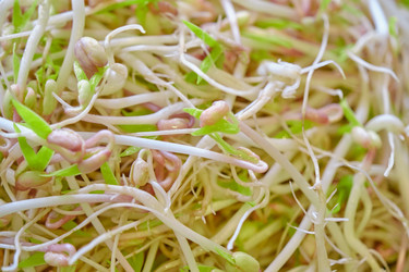 Similar image 21398672