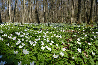 Similar image 21398675