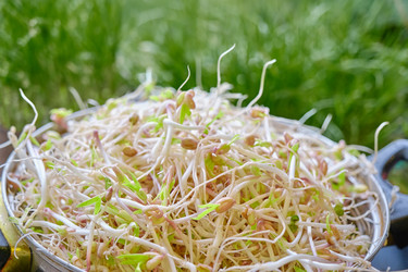 Similar image 21398678