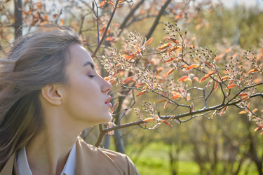 Similar image 21398687