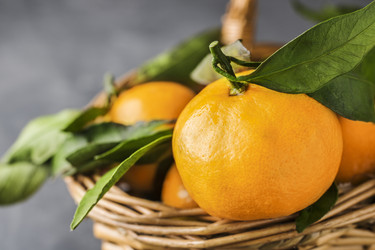 Similar image 21421511