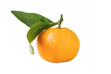 Similar image 21421516