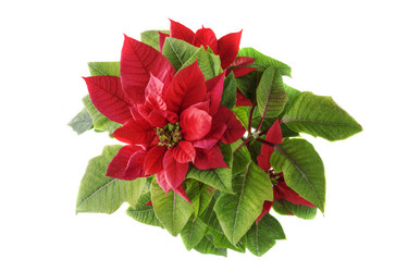 Similar image 21421525