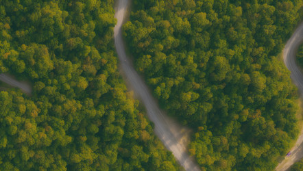 Similar image 21398813