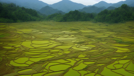 Similar image 21398879