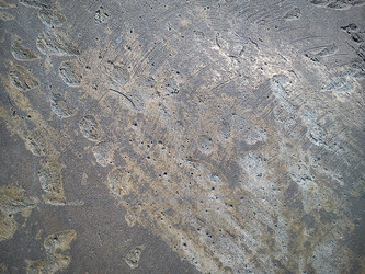 Similar image 21389401