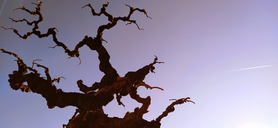 Similar image 21390404