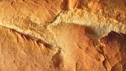 Similar image 21390419