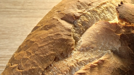 Similar image 21416623