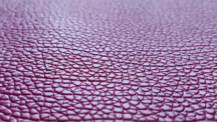 Similar image 21416624