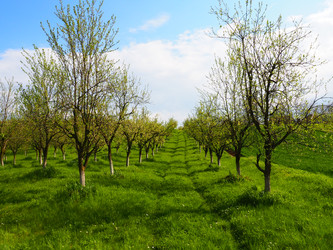 Similar image 21389182