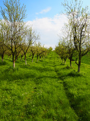 Similar image 21389184