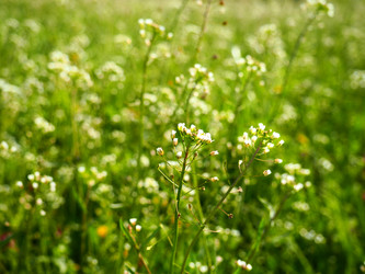 Similar image 21389186