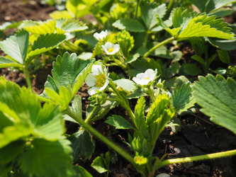 Similar image 21389187