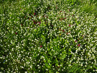 Similar image 21389188