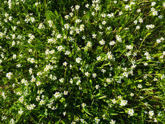 Similar image 21389409