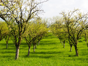 Similar image 21389412