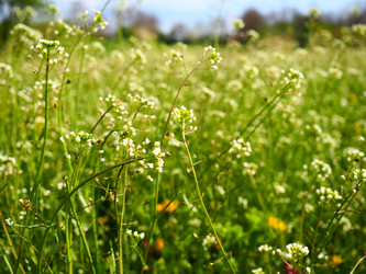 Similar image 21389414