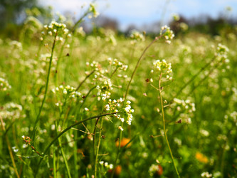 Similar image 21389416