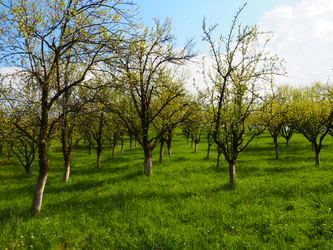 Similar image 21389418