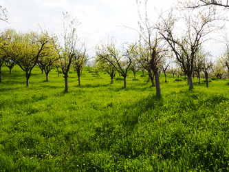 Similar image 21389419