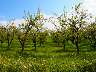 Similar image 21390430