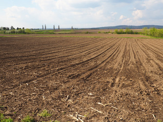 Similar image 21390431