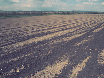 Similar image 21390434