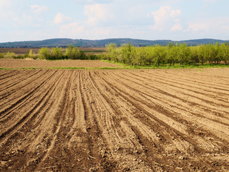 Similar image 21390435