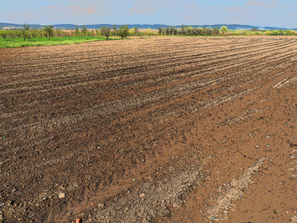 Similar image 21390436