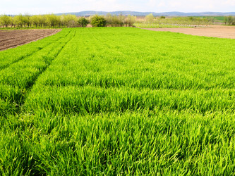 Similar image 21390437