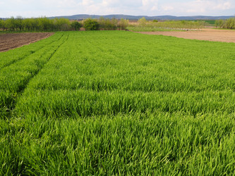 Similar image 21390439