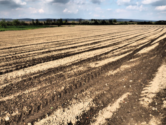 Similar image 21390440