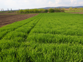 Similar image 21390441