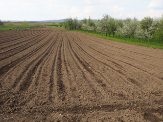 Similar image 21390444