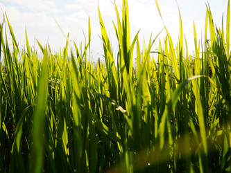 Similar image 21390445