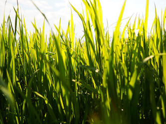 Similar image 21390448