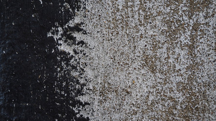 Similar image 21390454