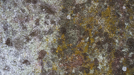 Similar image 21390713