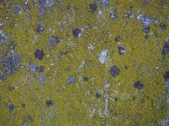 Similar image 21390719