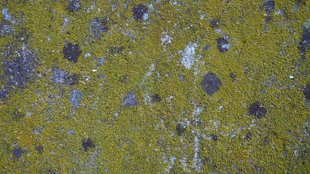 Similar image 21416388