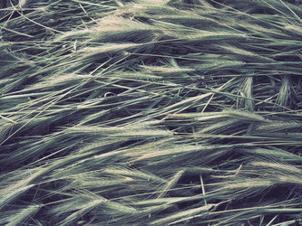 Similar image 21416635