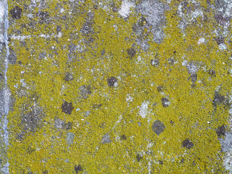 Similar image 21416639