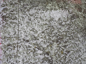 Similar image 21416641