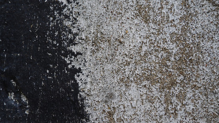 Similar image 21416645