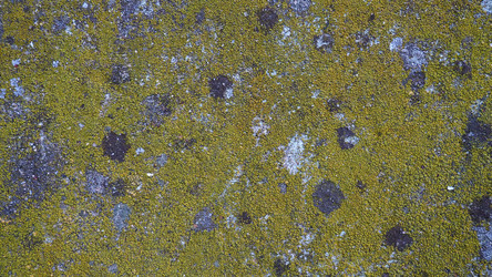 Similar image 21416651