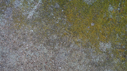 Similar image 21417082